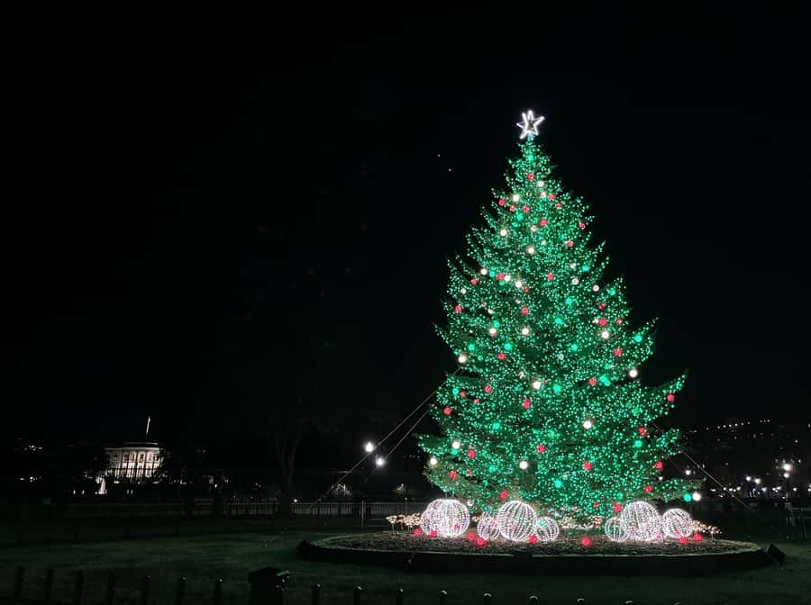 Washington, DC: Christmas Tree & Holiday Lights Bus Tour - Willard Hotel holiday decor and carolers when you arrive early