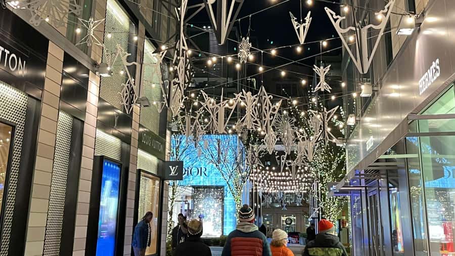 Washington, DC: Christmas Tree & Holiday Lights Bus Tour - Festival of Lights: the National Menorah during Hanukkah