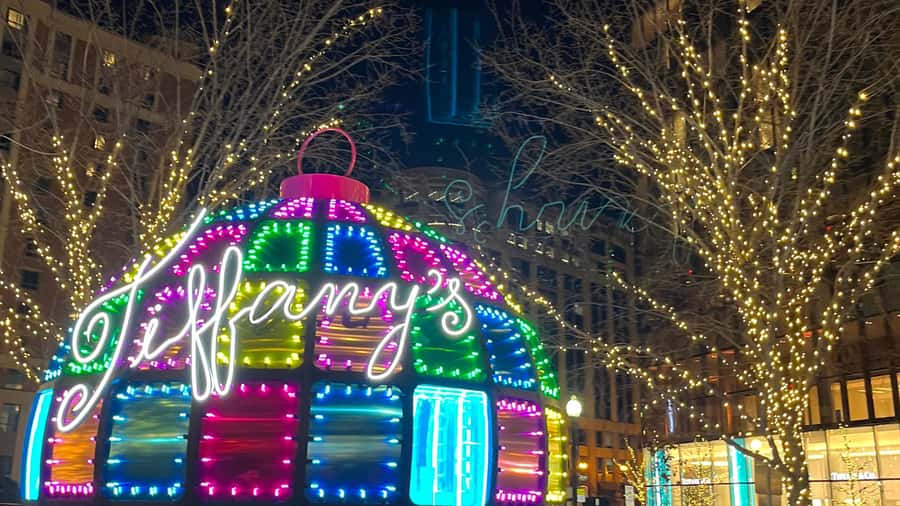 Washington, DC: Christmas Tree & Holiday Lights Bus Tour - Walking, weather, and comfort tips (especially for knee trouble)