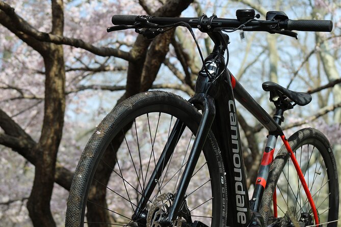 Washington DC eBike Rental with Helmet and Handlebar Bag for 16+ - Price and Value: Is $42.40 Worth It?