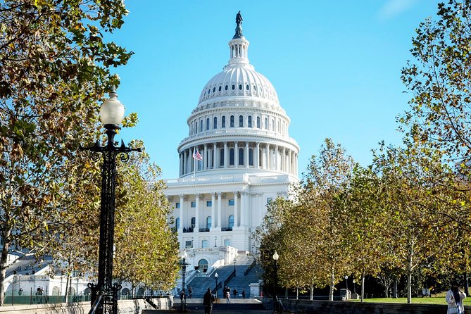Washington DC Highlights Tour with Top Landmarks and Memorials - Tidal Basin: A Pause for Views You’ll Want Later