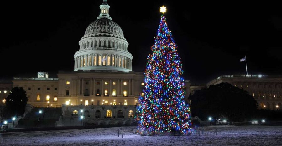 Washington, DC: Holiday Lights Nighttime Bus Tour - DC glows on a 3-hour loop: what makes this holiday lights tour work