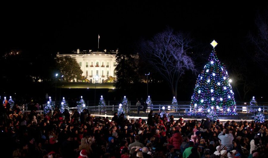 Washington, DC: Holiday Lights Nighttime Bus Tour - Old Town Alexandria at Market Square: holiday mood beyond DC monuments