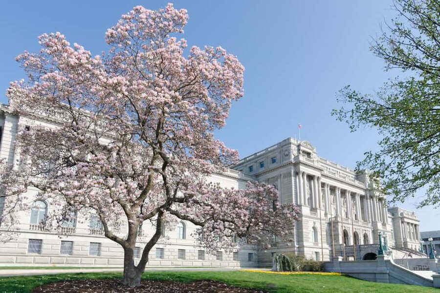 Washington DC: Library of Congress Private Tour with Tickets - Who this Library of Congress private tour suits best