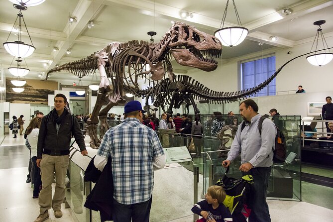 Washington DC Museum of Natural History Private Family tour - Key Points to Know Before You Go