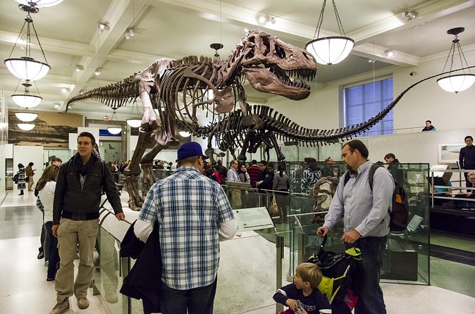 Washington DC Museum of Natural History Private Family tour - Behind-the-Scenes Collection Facts (Not Just Signs on a Wall)