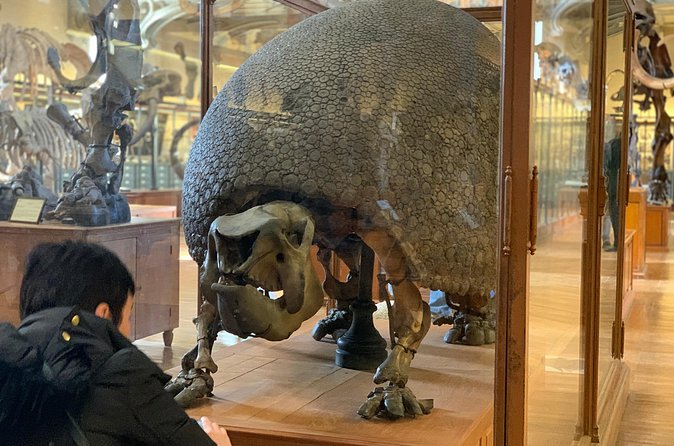 Washington DC Museum of Natural History Private Family tour - Customizing the Route for Kids, Teens, and Adults