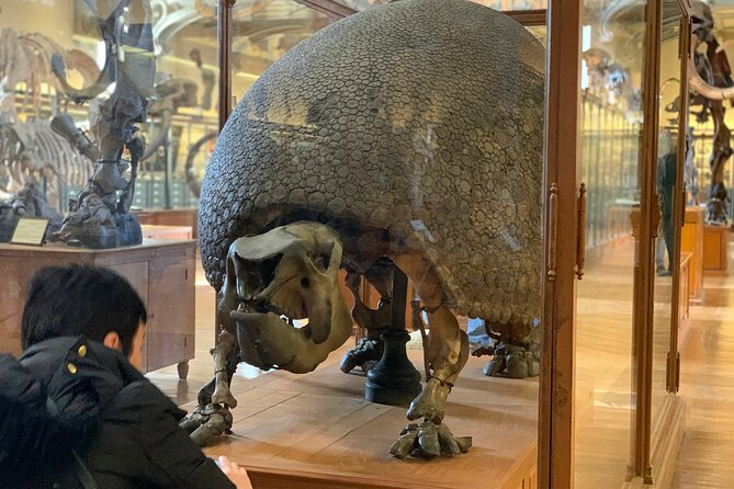 Washington DC Museum of Natural History Private Family tour - The Main Stop: Smithsonian National Museum of Natural History