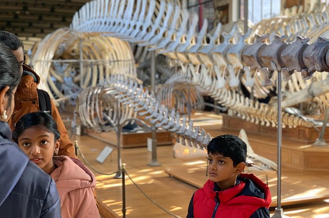 Washington DC Museum of Natural History Private Family tour - Staying After the Tour: Turn Guidance Into Your Own Adventure