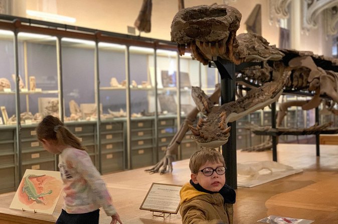 Washington DC Museum of Natural History Private Family tour - Price and Value: When $350 Feels Right