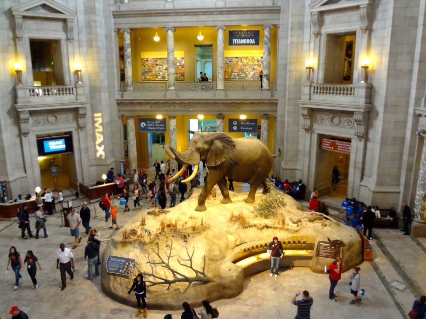 Washington DC: Museum of Natural History Private Guided Tour - How customization actually helps families (and what to ask)
