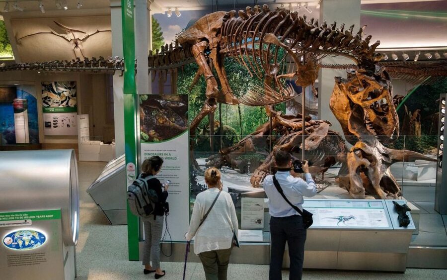 Washington DC: Museum of Natural History Private Guided Tour - Price and value: $350 per group up to 5