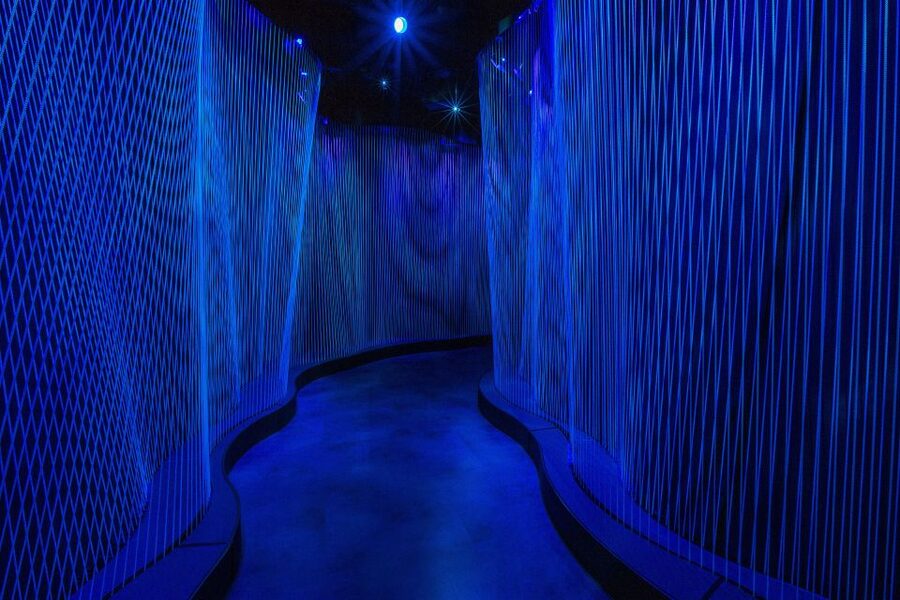 Washington DC: Museum of the Bible General Admission - Biblical artifacts and the translation story you can see