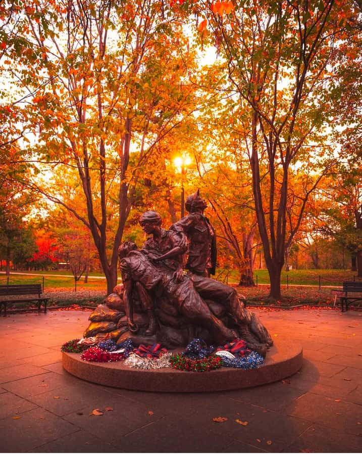 Washington, DC: National Mall Tour with Monument Entry - Einstein to Vietnam Veterans Memorial: moving from landmark to meaning