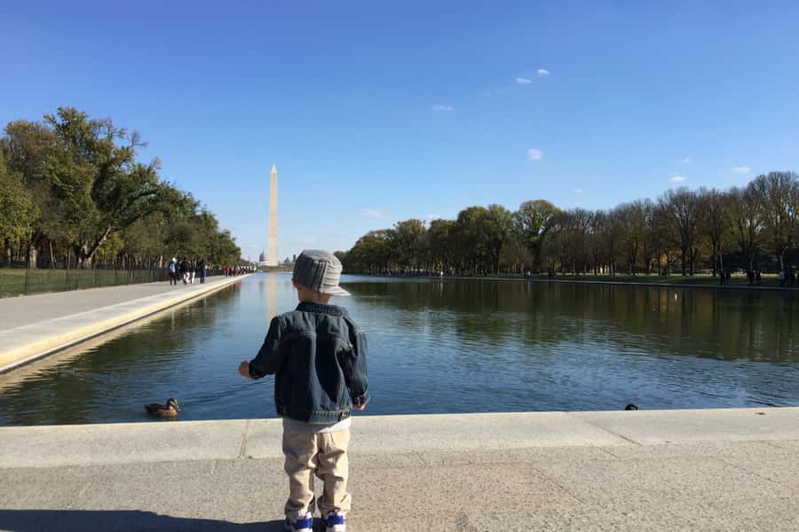 Washington DC: National Mall Walking Tour - Starting at Washington Monument Lodge: The easiest way to get your bearings