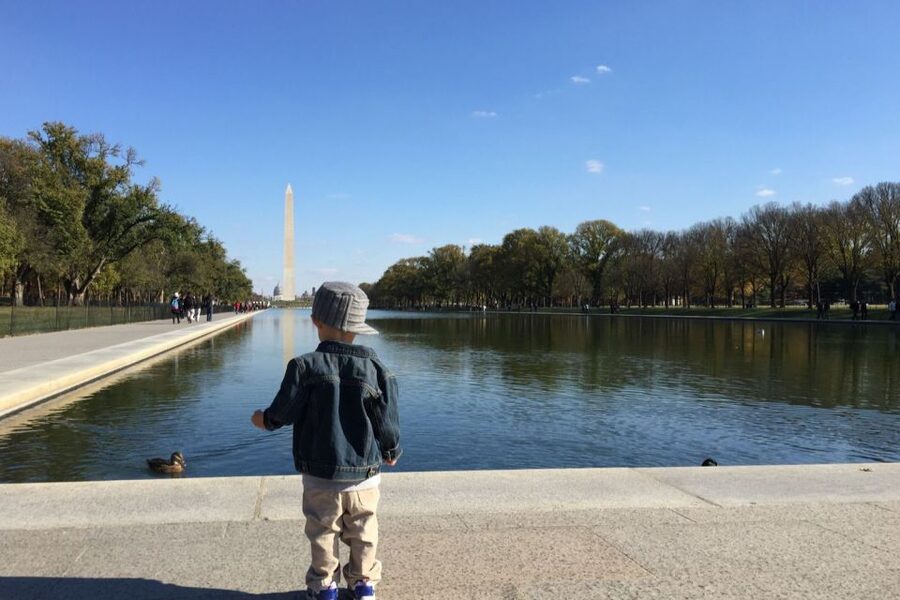 Washington, DC: Private National Mall Walking Tour - Key Highlights Worth Marking