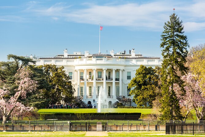 Washington DC Sight Seeing Private Tour-English or Spanish Option - Tidal Basin, Watergate, Washington Monument, and Smithsonian: Pass-By Sight That Still Helps
