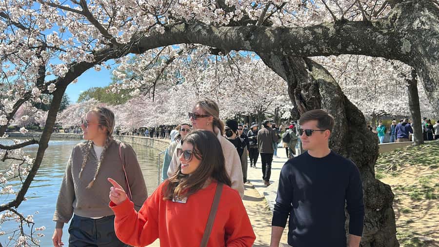 Washington Monument Ticket & National Mall Memorials Tour - Why this National Mall walk ends with the best payoff