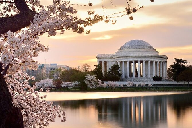 Washington : Private Custom Walking Tour With A Guide (Private) - A Private Guide Turns Washington Into Something You Can Actually Use